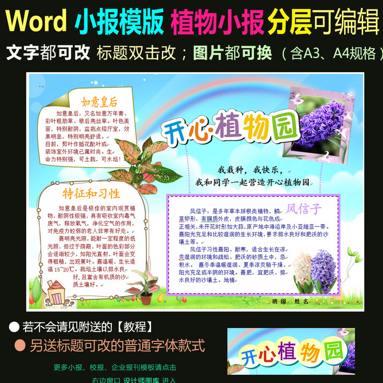 word电子手抄报小报开心植物园(图片编号:150