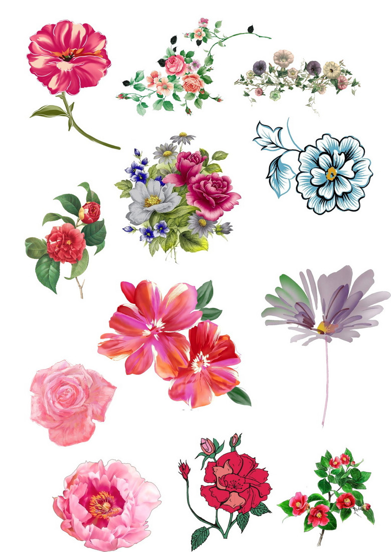 色彩斑斓各种鲜花手绘画素材平面设计海报