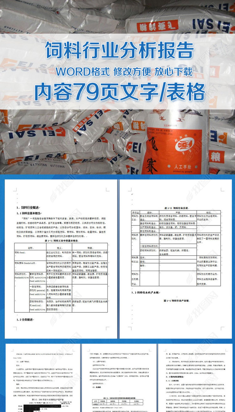 饲料行业分析报告模板下载_word|doc格式素材