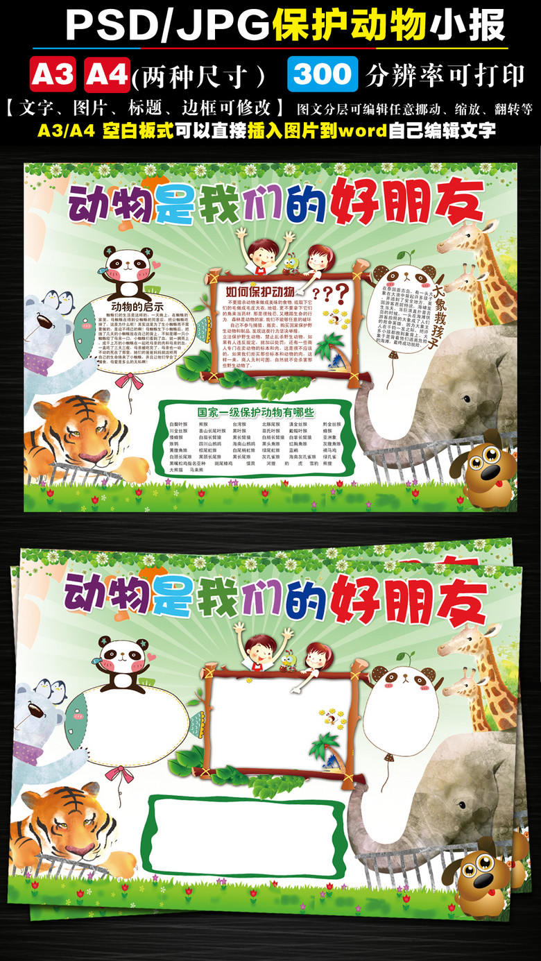 电子小报模板保护动物手抄报