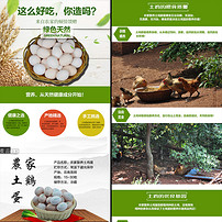 淘宝天猫拼多多秋冬季野鸡蛋土鸡笨鸡蛋详情模