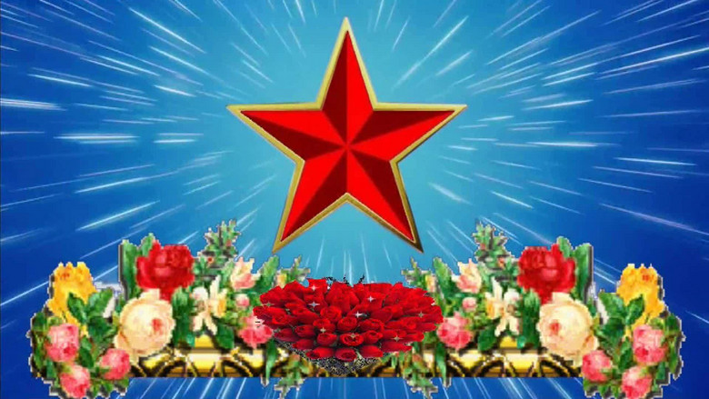 闪闪红星电影片头红五星视频(图片编号:15144