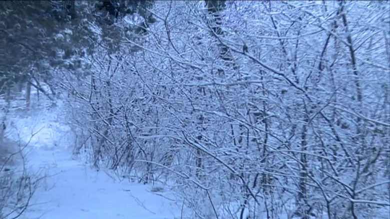 山林冬天雪景高清视频素材