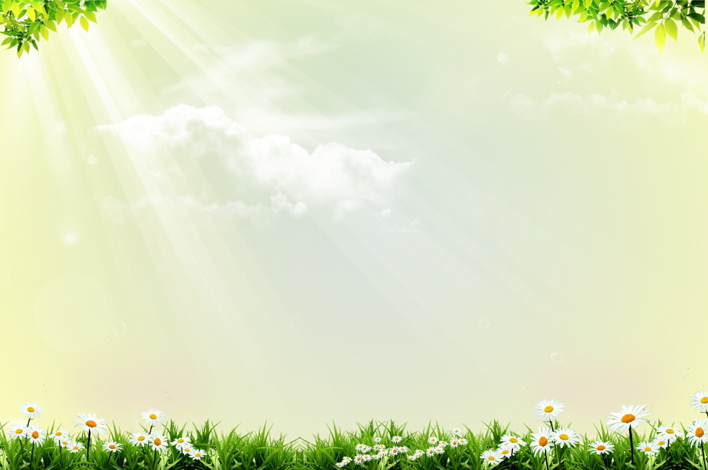 绿油油的草地盛开花朵阳光折射春天背景图