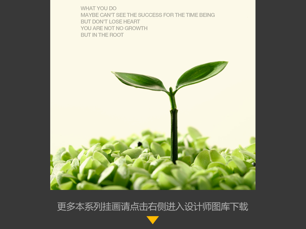 ppt 背景 壁纸 电脑桌面 发芽 绿色 绿色植物 嫩芽 嫩叶 新芽 植物图片