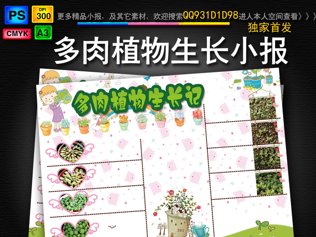 多肉植物小报|word电子小报多肉植物生长小报