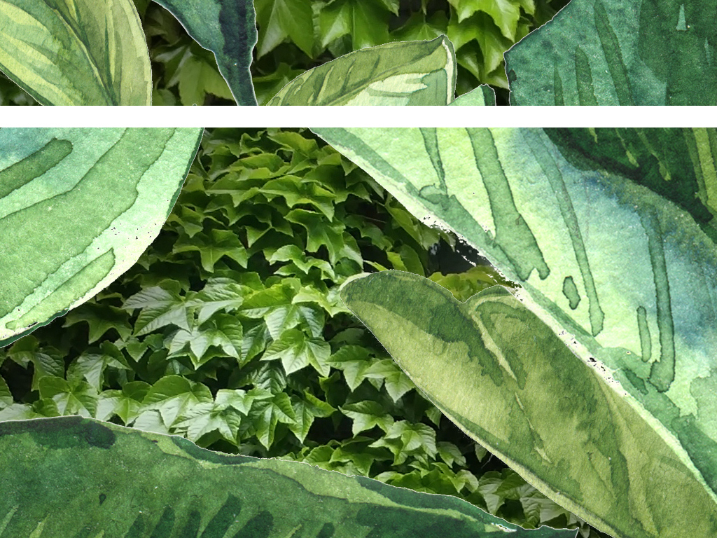 手绘欧式芭蕉叶竹林叶植物墙纸壁纸图片
