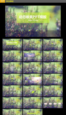 旅游公司简介PPT模板_旅游公司简介PPT模板