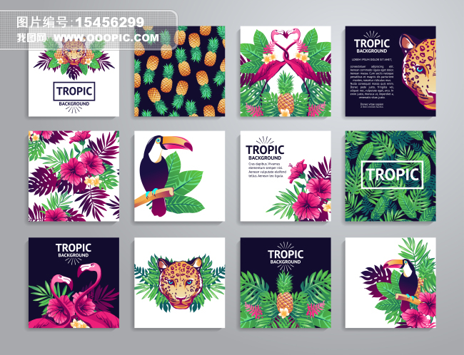 热带雨林大嘴鸟笔记本封面包装印刷矢量图片素