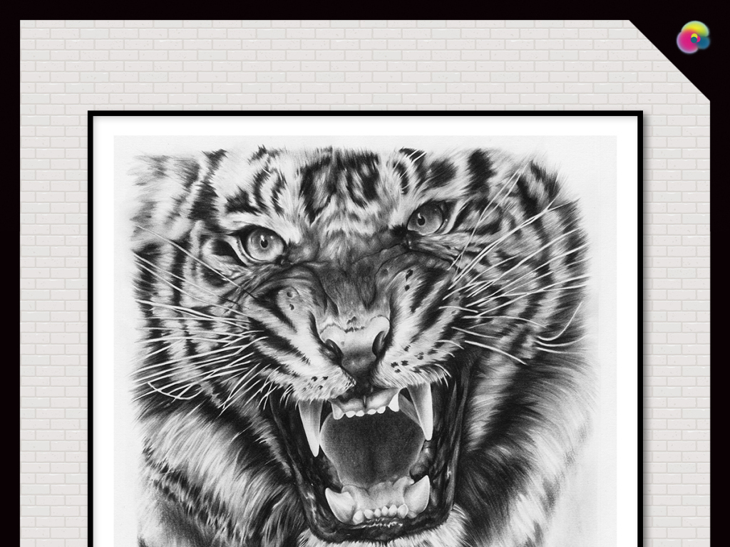 素描老虎面部图片展示_素描老虎面部图片下载