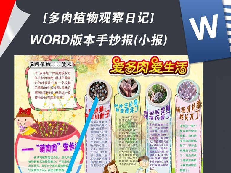 word多肉植物生长观察日记小报手抄报(图片编