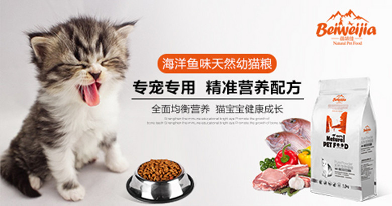 猫粮海报