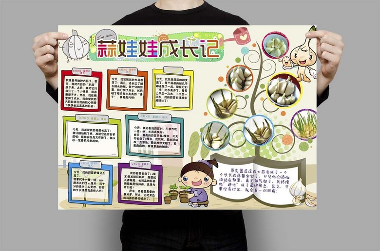 观察日记植物生长小报大蒜蒜苗手抄报(图片编