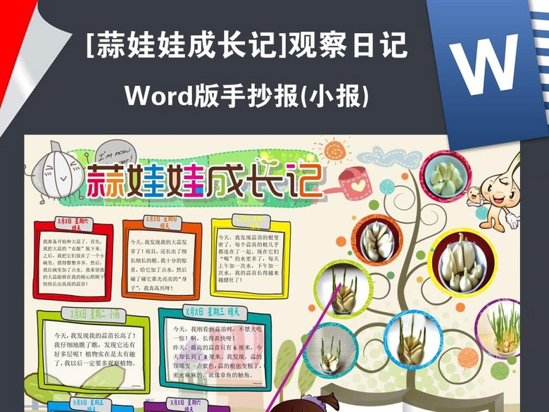 植物生长小报大蒜蒜苗手抄报观察日记(图片编