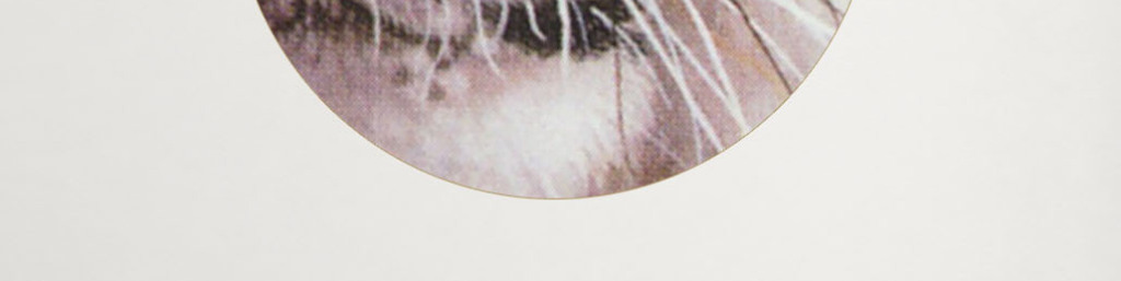 我图网提供精品流行老虎装饰画工笔动物画无框画油画丙烯画素材下载,作品模板源文件可以编辑替换,设计作品简介: 老虎装饰画工笔动物画无框画油画丙烯画 位图, CMYK格式高清大图, 老虎室内装饰画 老虎装饰画