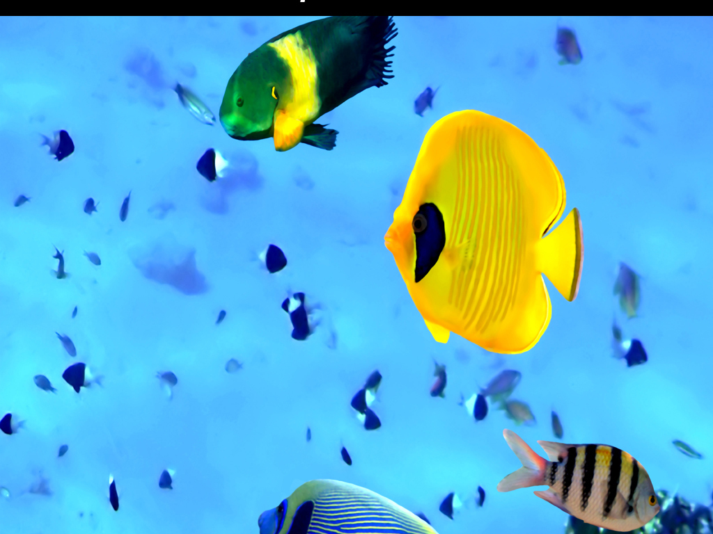 我图网提供精品流行海底世界珊瑚热带鱼3D立体玄关背景墙素材下载,作品模板源文件可以编辑替换,设计作品简介: 海底世界珊瑚热带鱼3D立体玄关背景墙 位图, RGB格式高清大图,使用软件为 Photoshop CS(.tif不分层)
