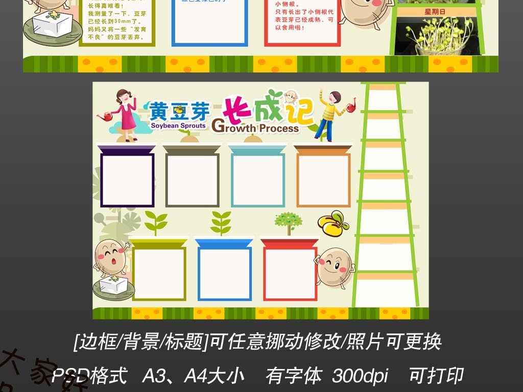 手抄报二等奖,书法与兰草_手抄报大全