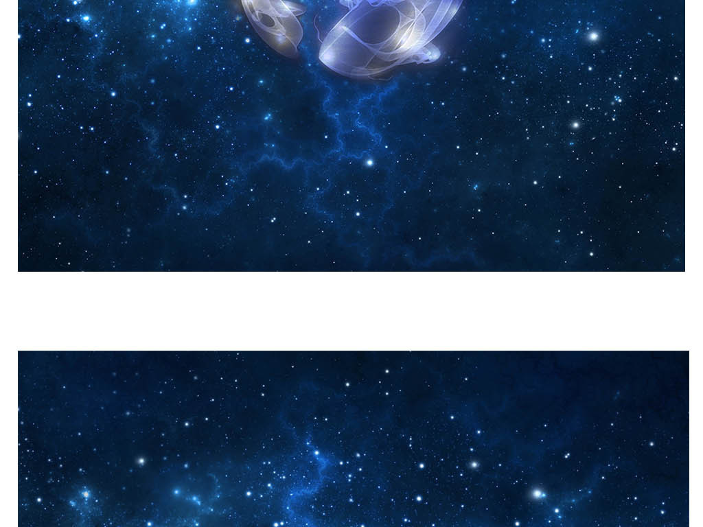 星空双鱼十二星座装饰画图片