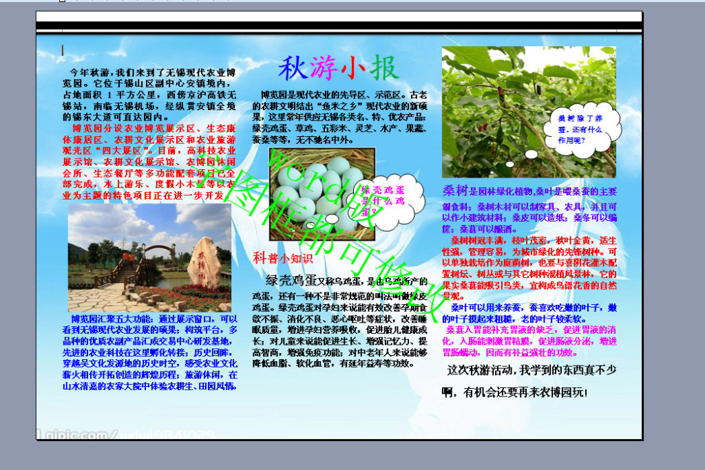 word版a4秋游电子小报手抄报下载图片