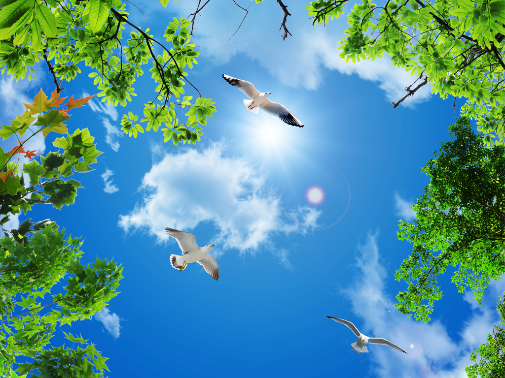 素材库大全高清素材免费下载 15610736-14975b52854e1d977941f683b49ca3fa-8.jpg