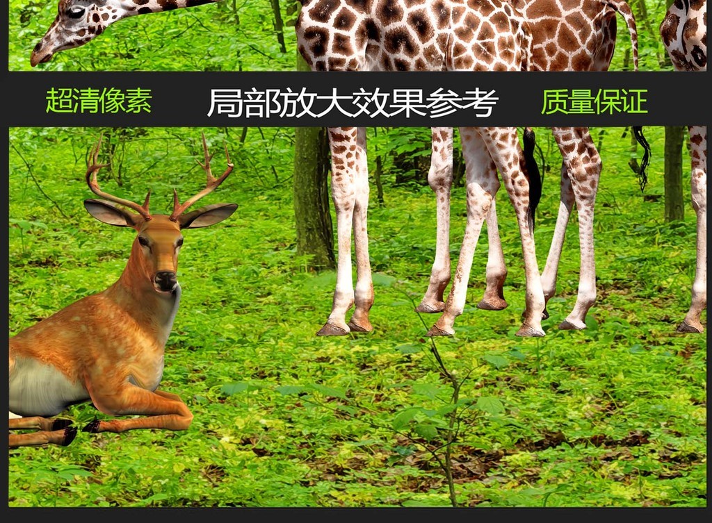 我图网提供精品流行 动物世界森林全景背景墙素材 下载,作品模板源文件可以编辑替换,设计作品简介: 动物世界森林全景背景墙 位图, RGB格式高清大图, 使用软件为 Photoshop CS5(.psd)