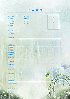 word文档个人简历_word文档个人简历模板下载