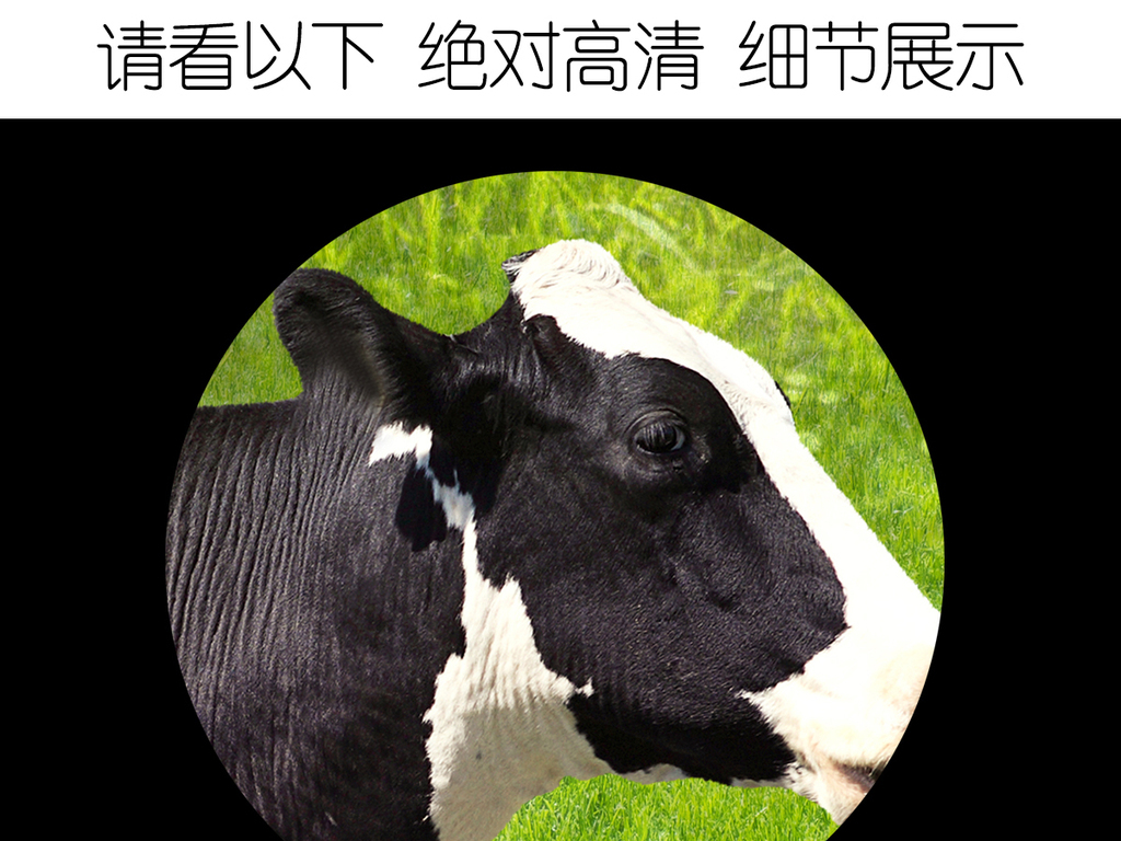 我图网提供精品流行森林牧场动物世界主题空间全屋背景墙素材下载,作品模板源文件可以编辑替换,设计作品简介: 森林牧场动物世界主题空间全屋背景墙 位图, RGB格式高清大图,使用软件为 Photoshop CS5(.psd) 森林
