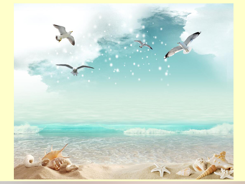 地中海风景沙滩海星贝壳海鸥电视背景墙