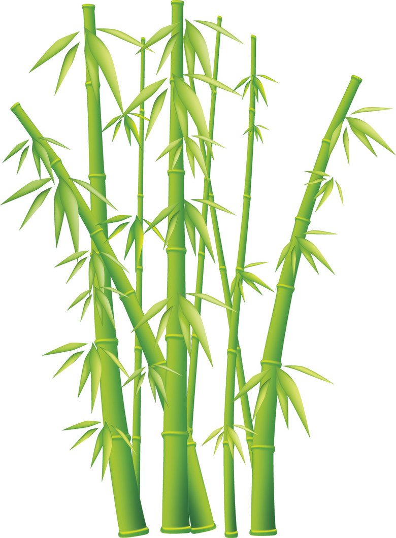 竹子高清素材