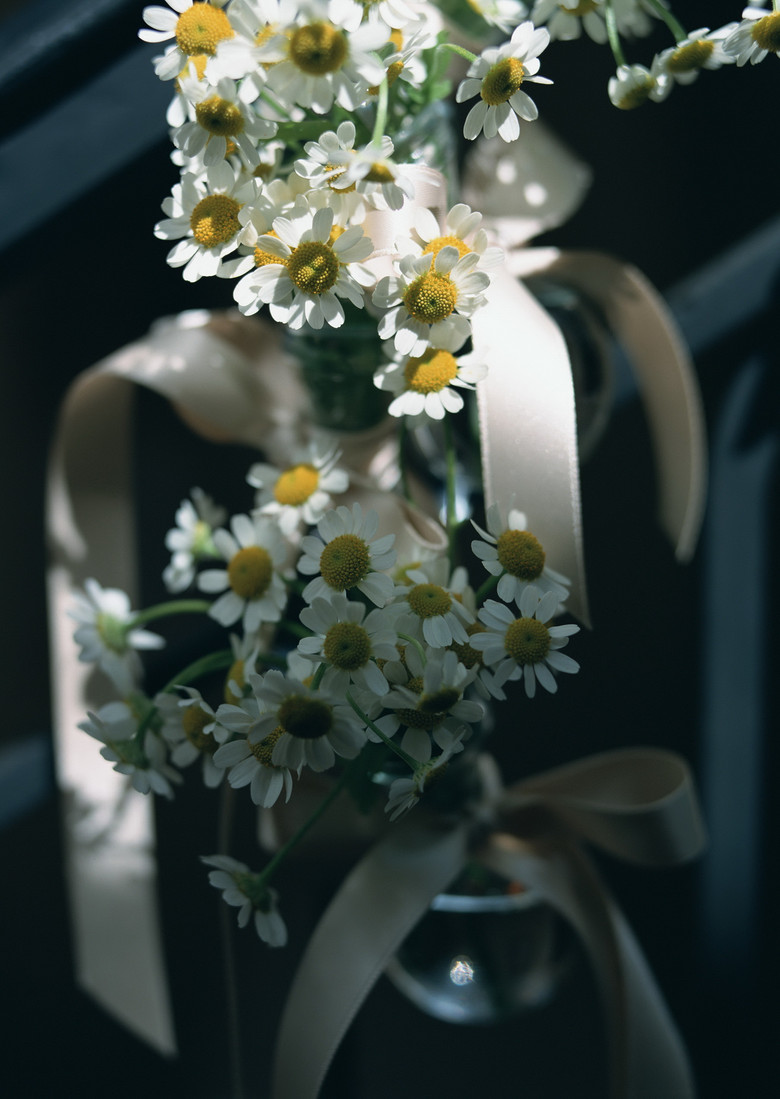 植物婚纱花_花植物图片