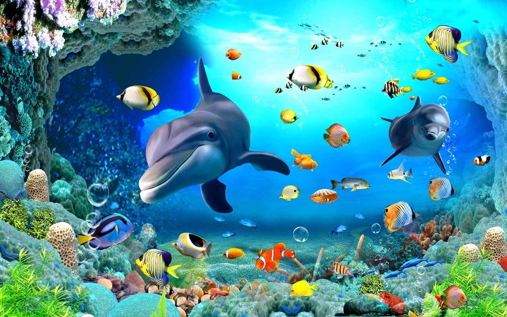 梦幻海底世界_qq空间梦幻海底世界_北京海底世界哪个好