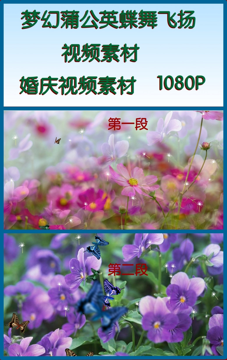 舞飞扬含笑曲谱_深山含笑(2)
