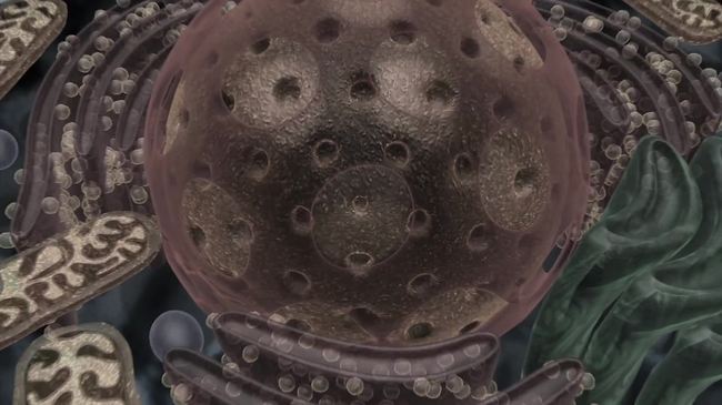 基因重组靶向治疗(图片编号:15789270)_动态|