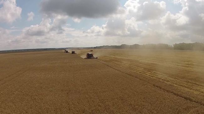 航拍收割小麦(图片编号:15790237)_工业农业