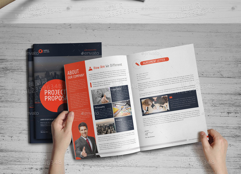 2017年公司简介企业报告项目计划书模板(图片