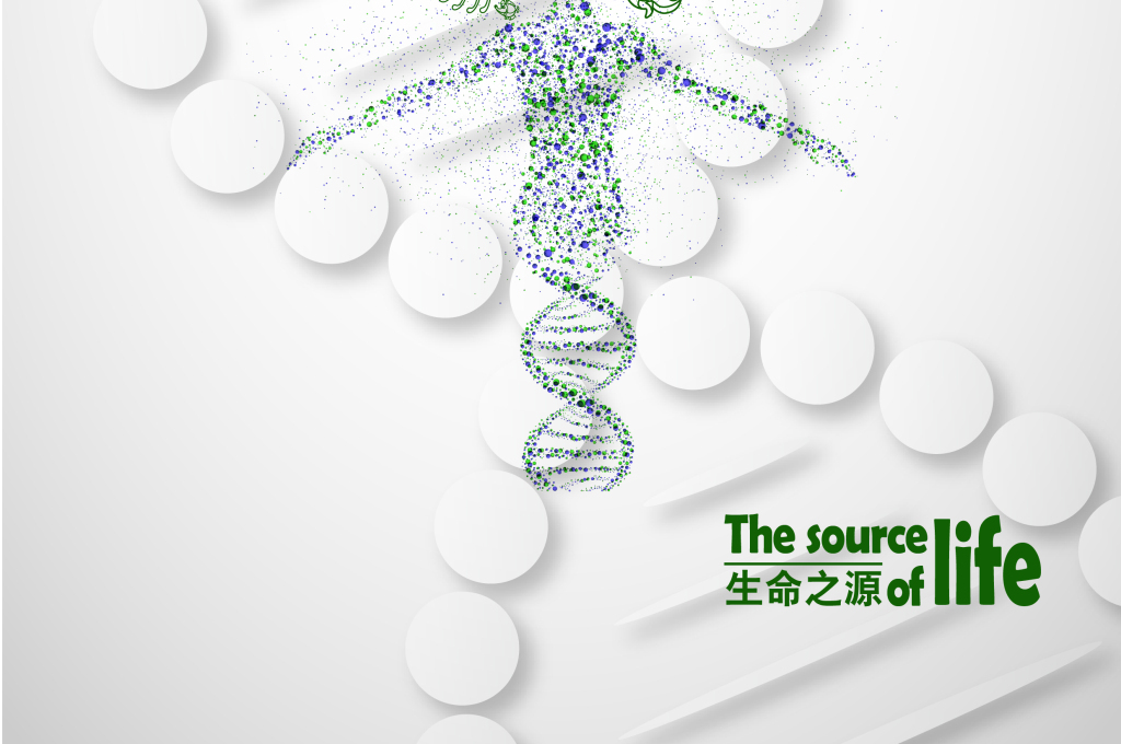 作品模板源文件可以编辑替换,设计作品简介: 生