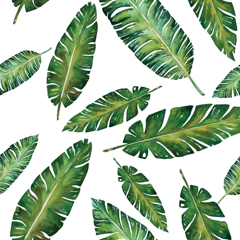 水彩植物图案热带风情图案印花(图片编号:158