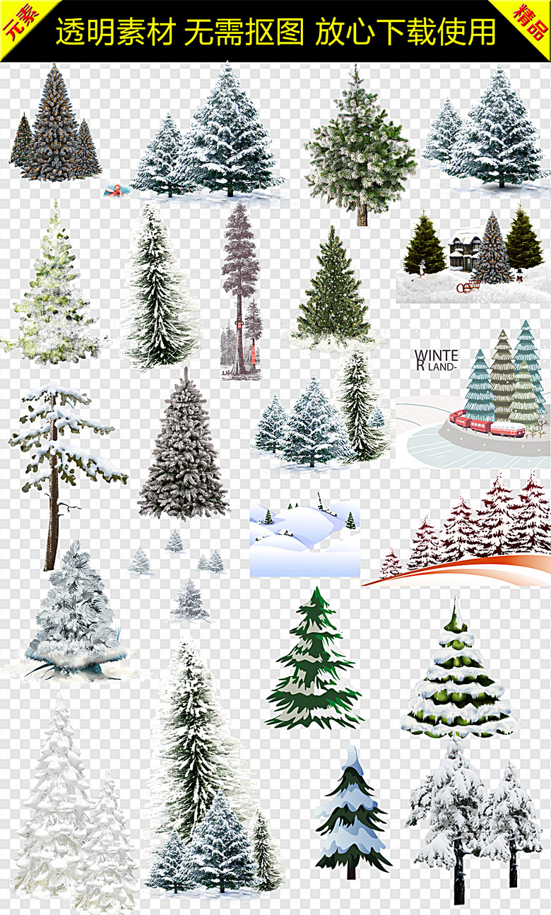 雪松素材冬季雪松雪松雪景