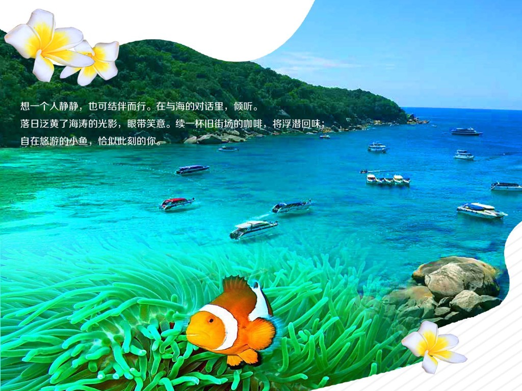 海岛普吉旅游宣传广告