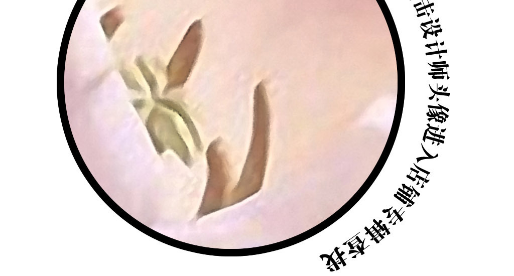 我图网提供精品流行粉红色郁金香欧式复古艺术客厅玄关装饰壁画素材下载,作品模板源文件可以编辑替换,设计作品简介: 粉红色郁金香欧式复古艺术客厅玄关装饰壁画 位图, RGB格式高清大图,使用软件为 Photoshop CS5(.tif不分层) 郁金香