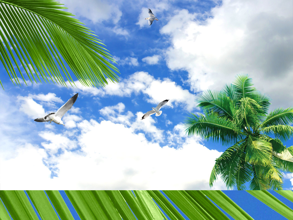 蓝天白云宇宙猜成语_蓝天白云图片