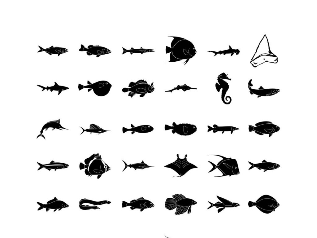 【本作品下载内容为:"海底生物鲨鱼矢量素材海洋生物"模板,其他内容仅为参考,如需印刷成实物请先认真校稿,避免造成不必要的经济损失。】 【声明】未经权利人许可,任何人不得随意使用本网站的原创作品(含预览图),否则将按照我国著作权法的相关规定被要求承担最高达50万元人民币的赔偿责任。