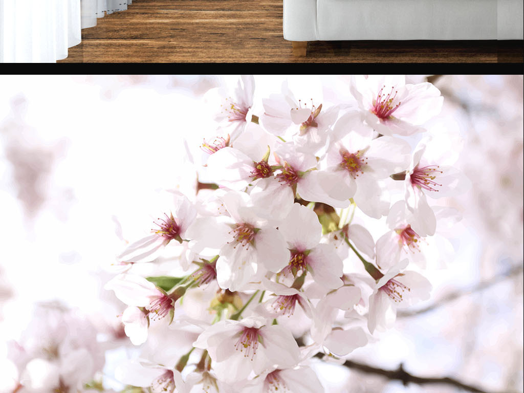 现代烂漫唯美樱花墙纸