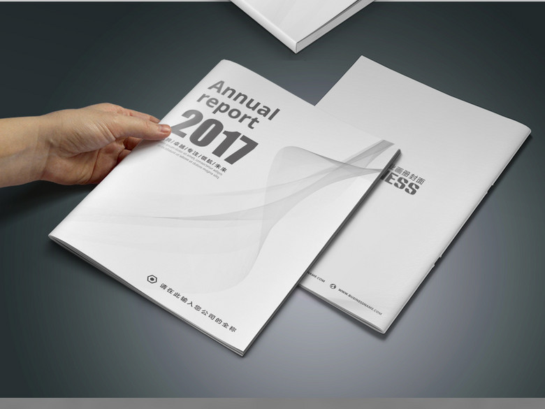 2017企业工作总结汇报封面(图片编号:159296