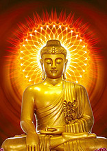 装b暴走漫画表情下载,正弦机构运动简图图片,