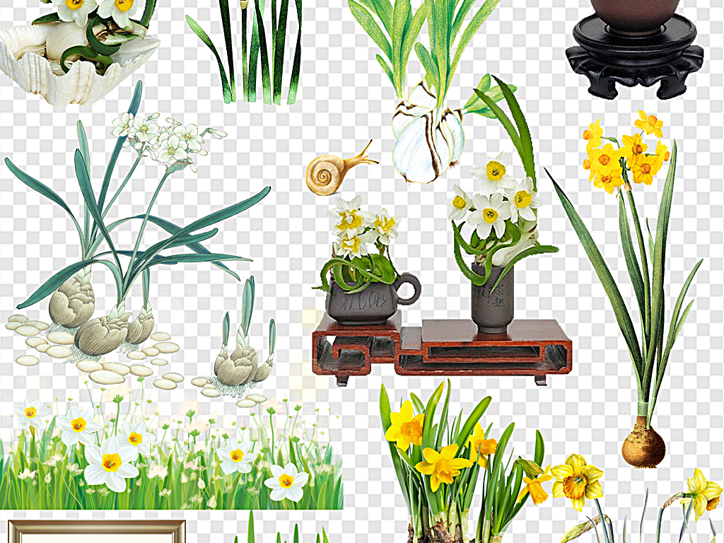 水仙花梦幻水仙装饰素材