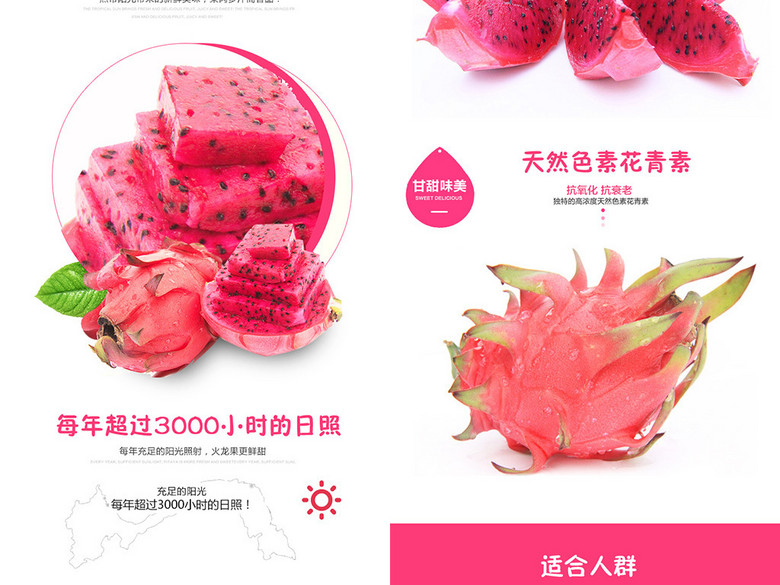 淘宝天猫红心火龙果详情页描述模板(图片编号