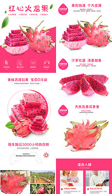 火龙果图片素材_火龙果图片素材下载_火龙果