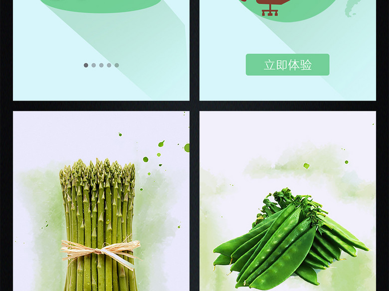 生鲜蔬菜商城超市APP引导页(图片编号:15962