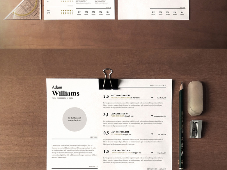 留学生英文简历A4WORD通用模板(图片编号:1